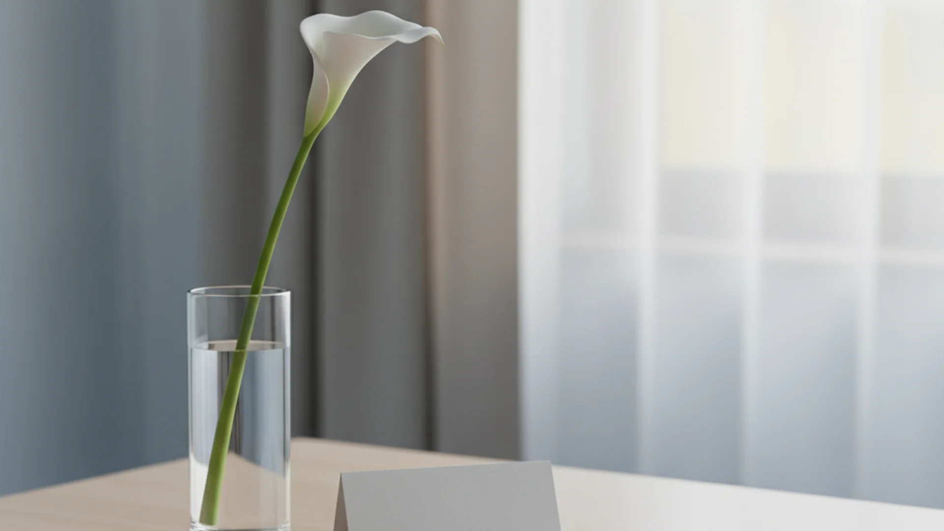 Short Eulogy Examples: Crafting a Meaningful Brief Tribute